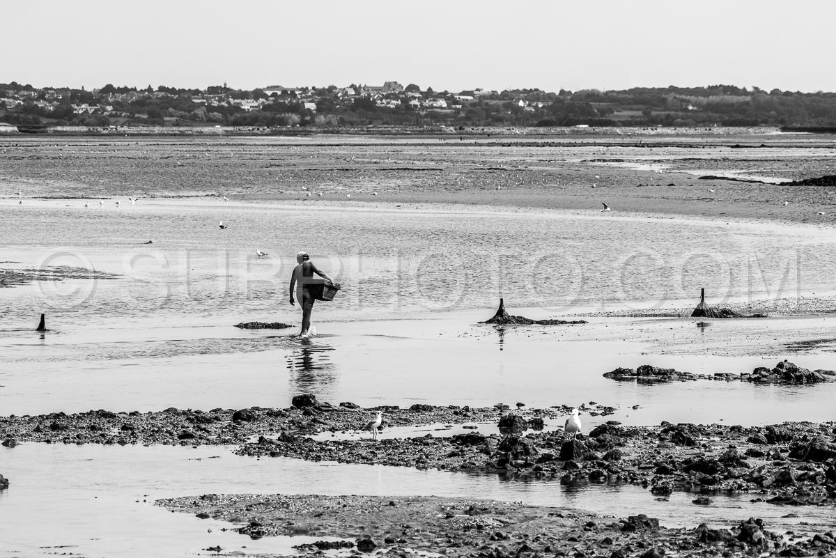 Photo de Femme récoltant des coquillages à marée basse devant Guérande le matin