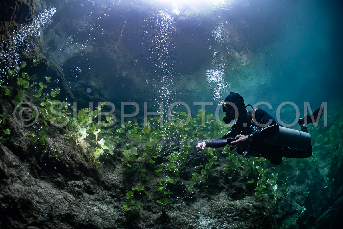 Photo de instructeur de plongée spéléo dirigeant un groupe de plongeurs dans un cenote mexicain sous l'eau